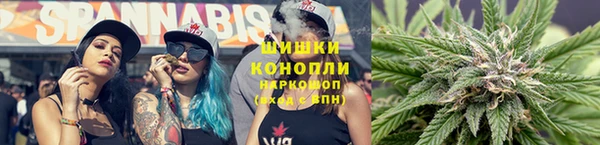 бошки Алексин
