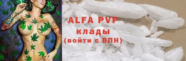 бошки Алексин