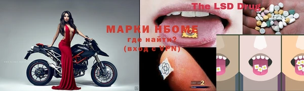 бошки Алексин