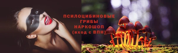 бошки Алексин