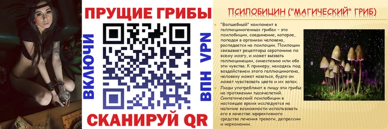 Галлюциногенные грибы прущие грибы  Лиски 